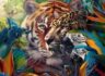 (정품) Adobe Photoshop 2024