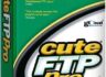 CuteFTP Professional - 포괄적인 파일 전송 솔루션